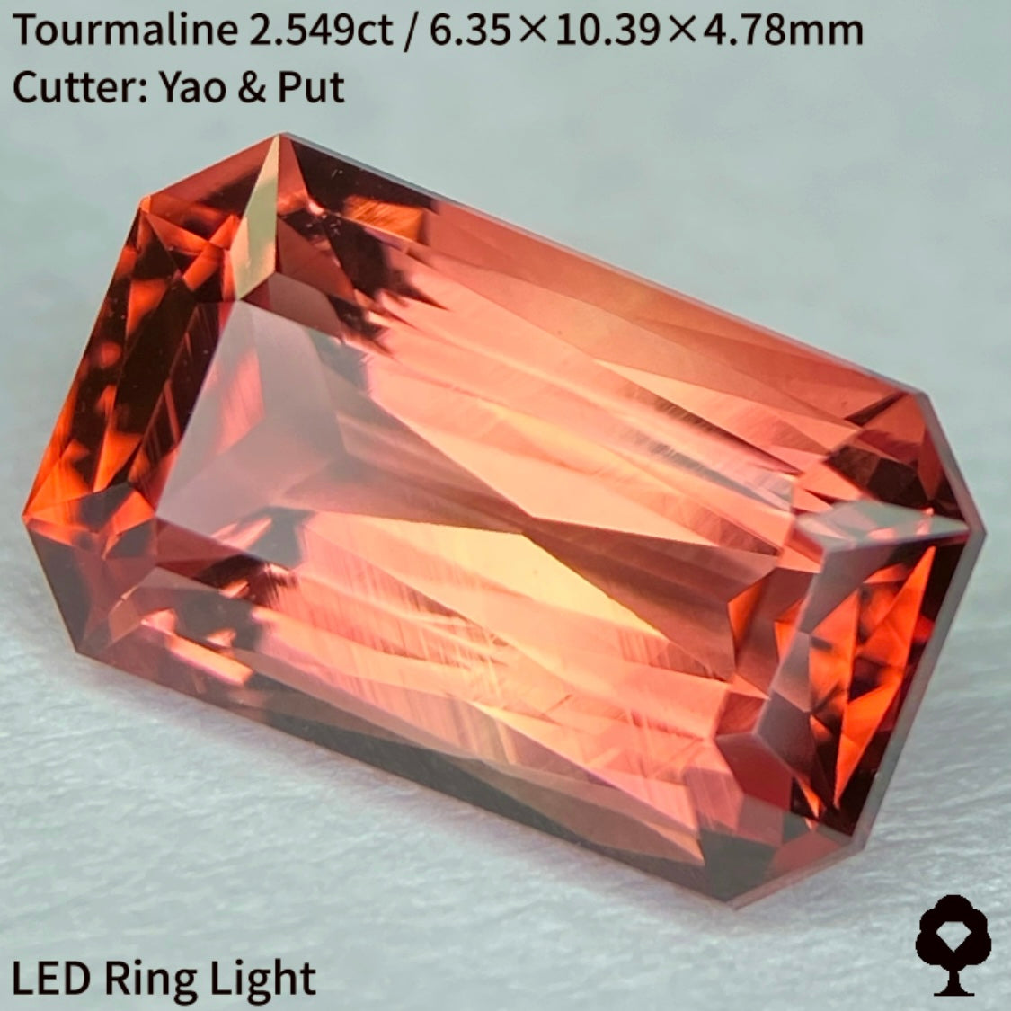 オレンジとピンク混ざるシザースの煌めきとスケッチのような成長線がたまらない★トルマリン2.549ct
