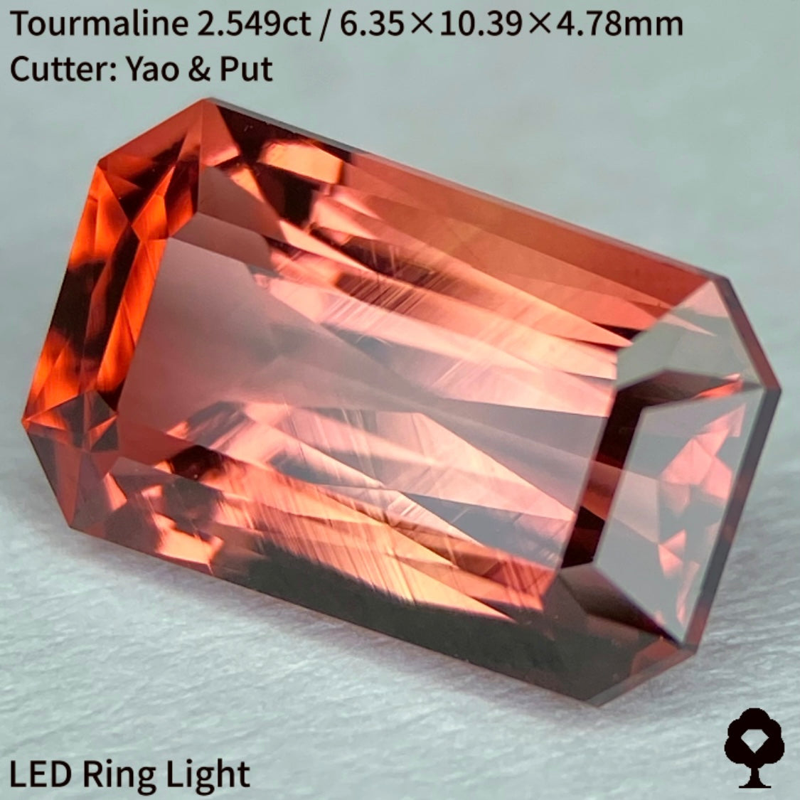 オレンジとピンク混ざるシザースの煌めきとスケッチのような成長線がたまらない★トルマリン2.549ct