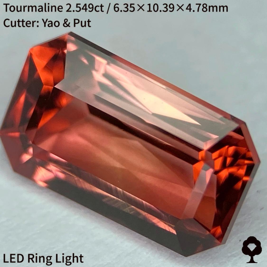 オレンジとピンク混ざるシザースの煌めきとスケッチのような成長線がたまらない★トルマリン2.549ct