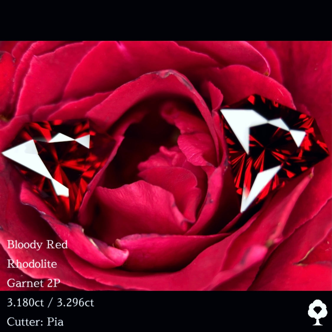ブラッディーレッドロードライトガーネット 3.180ct / 3.296ct ペア 計6.476ct クッションマグネットケース付き
