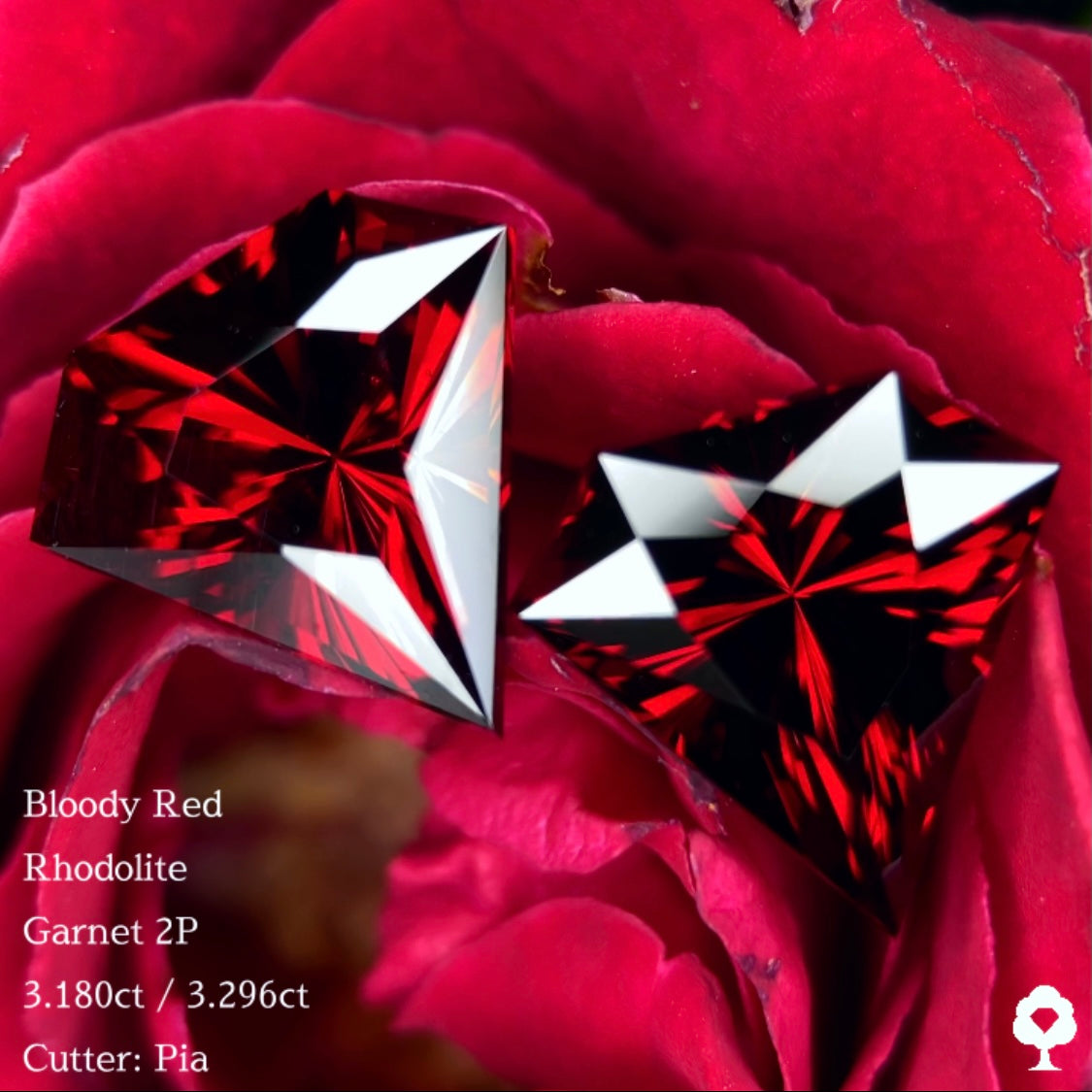 ブラッディーレッドロードライトガーネット 3.180ct / 3.296ct ペア 計6.476ct クッションマグネットケース付き