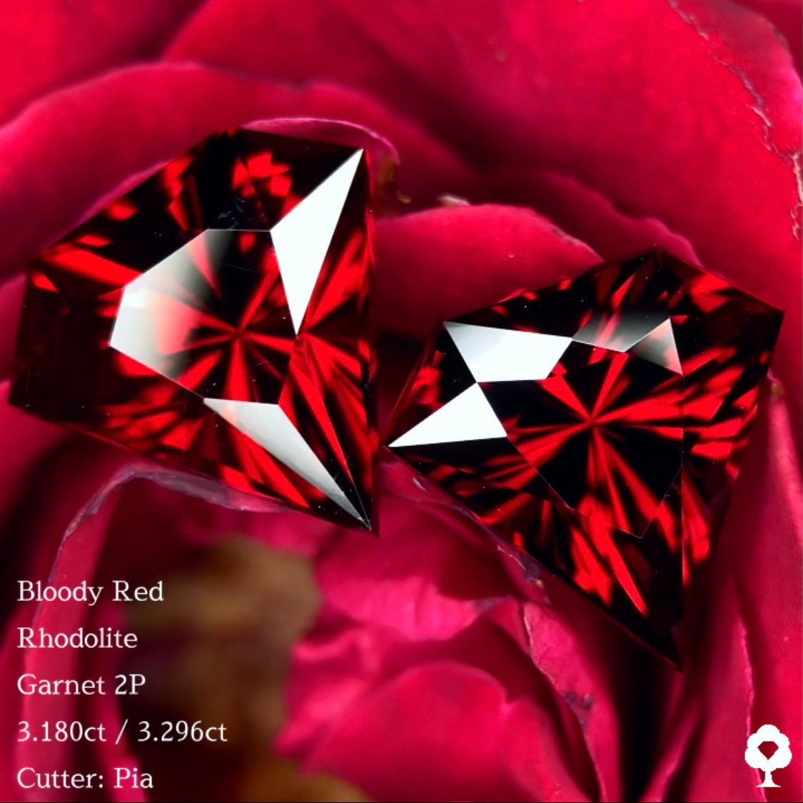 ブラッディーレッドロードライトガーネット 3.180ct / 3.296ct ペア 計6.476ct クッションマグネットケース付き