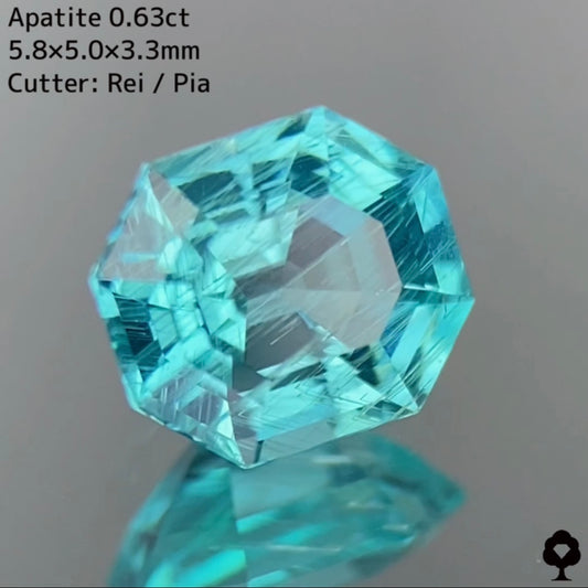 【お客さま専用】アパタイト 0.63ct★お問い合わせ特別価格★