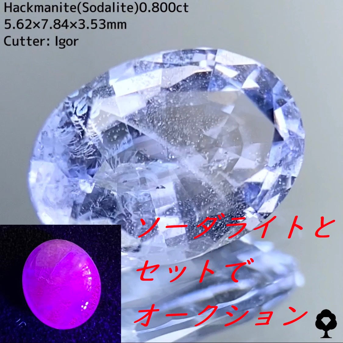 【5/6 21時終了】ZB 7枚迄使用可能【GWオークション④】ハックマナイト 0.800ct + ソーダライト 1.690ct
