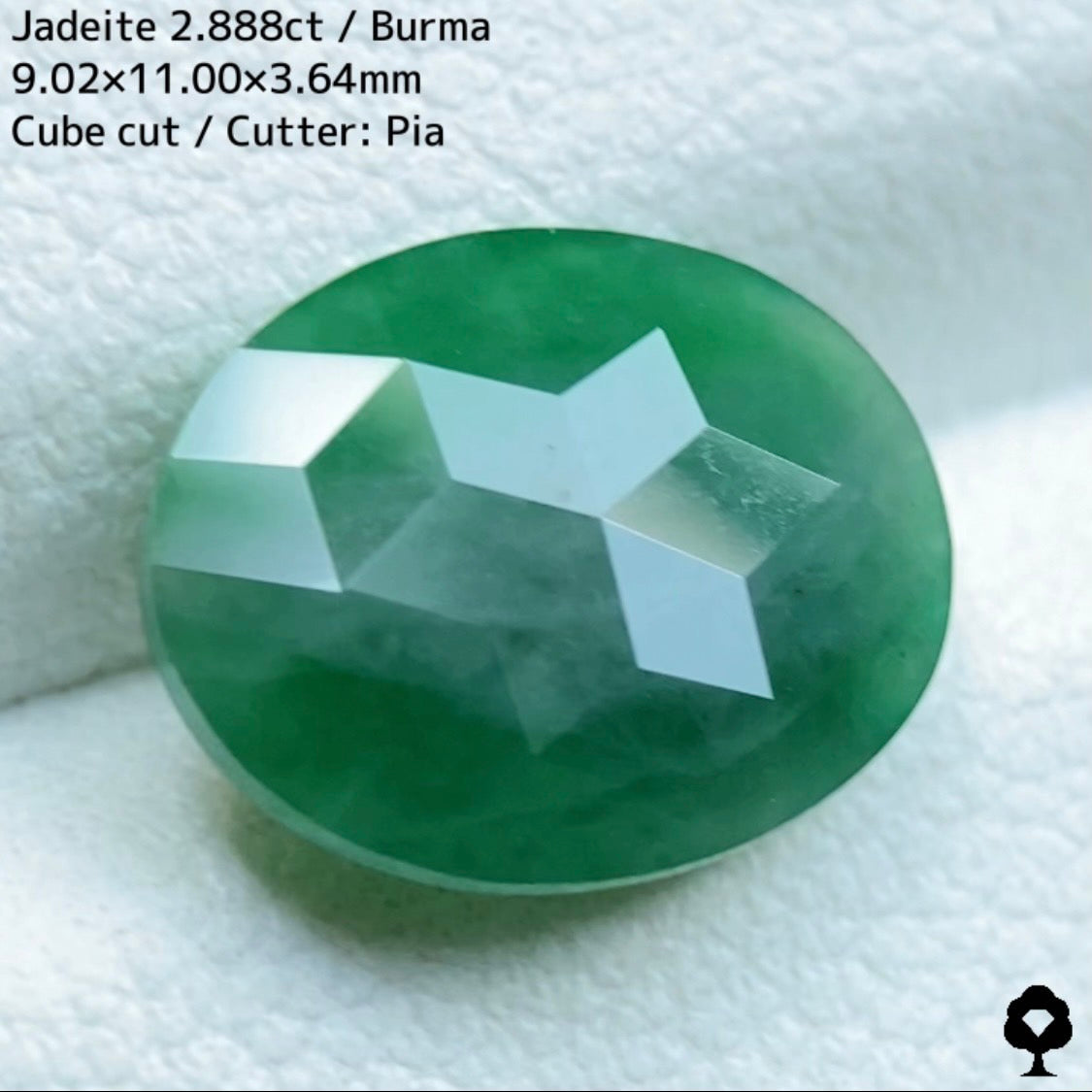 【お客さま専用】カボとキューブカットの両A面★世界でGTJにしか無い傑作★趣ある美色グリーン★ジェダイト(翡翠)2.888ct