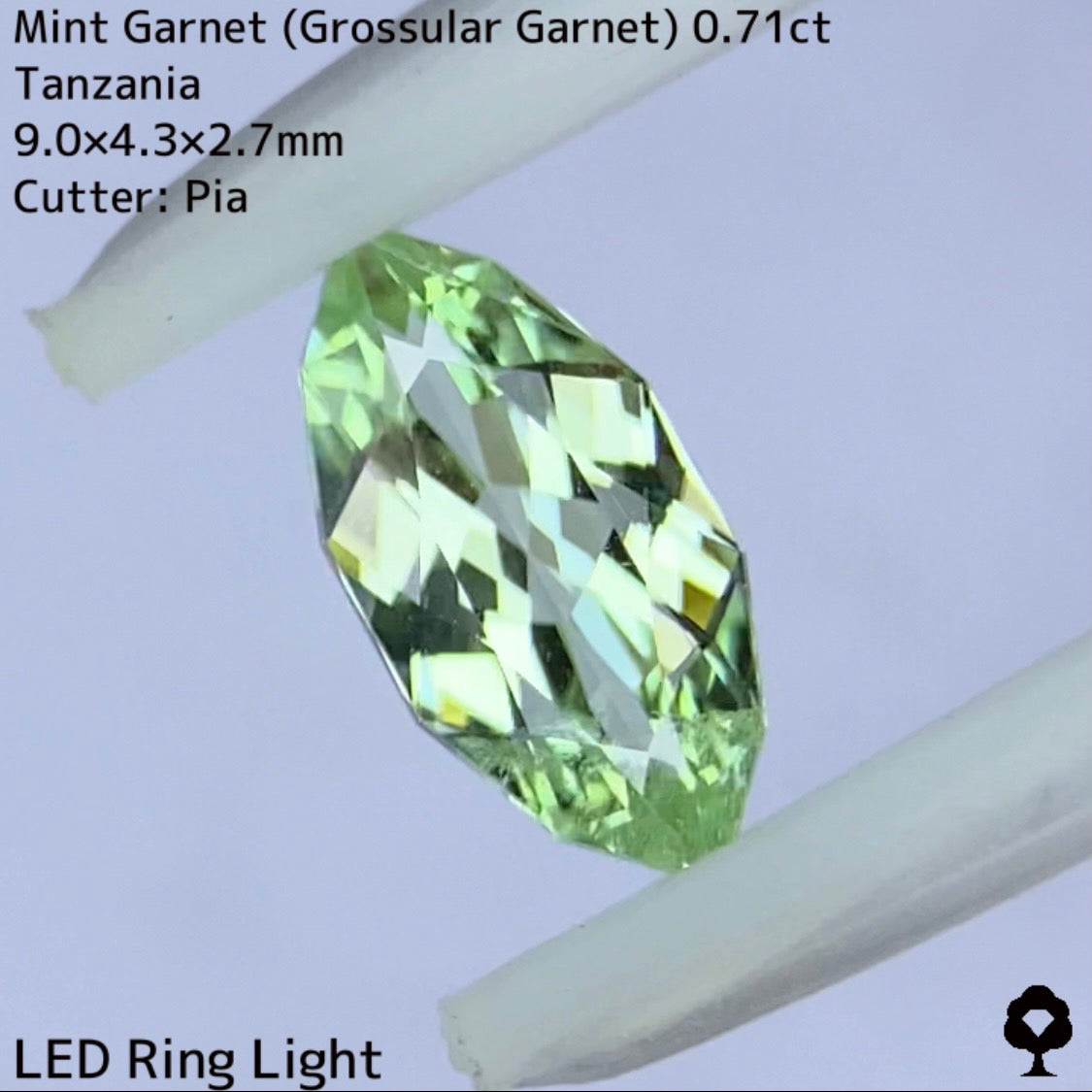 【チャットオークション御落札様専用】ミントガーネット 0.71ct