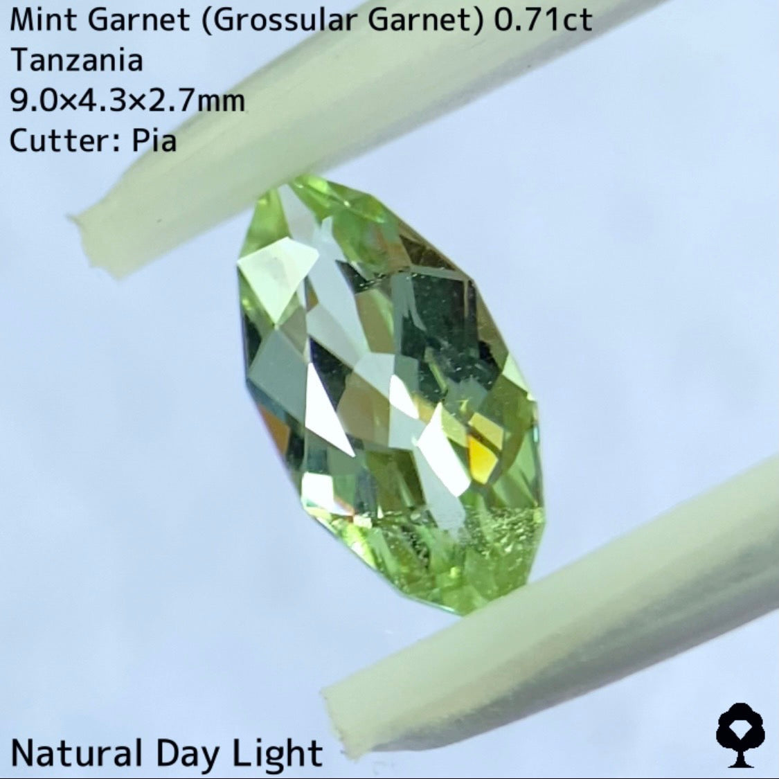 【チャットオークション御落札様専用】ミントガーネット 0.71ct