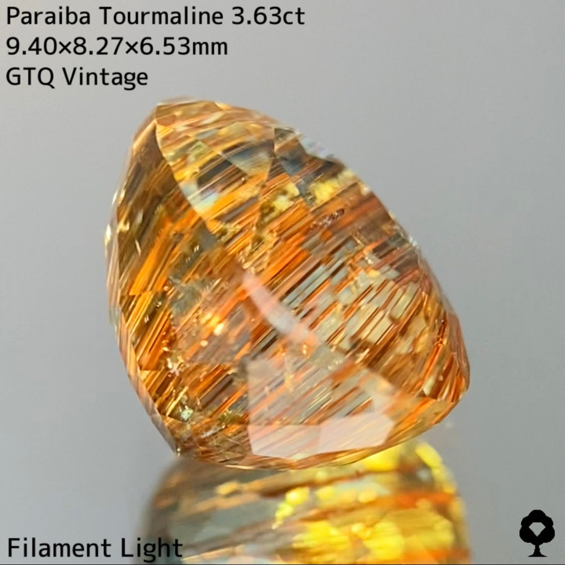 面白さの詰まった可愛さもある希少石★パライバトルマリン3.63ct
