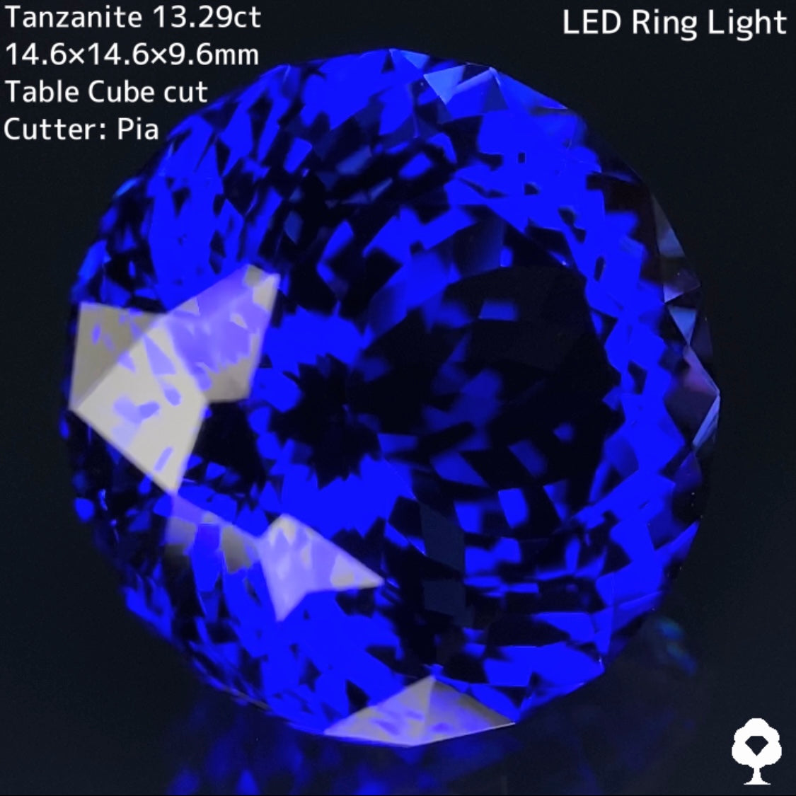 極上の色・品質・カットの世界でGTJにしか無い20角形テーブルキューブカット★タンザナイト 13.304ct💎宝石の秋🍁殿堂入り作品特別出品★