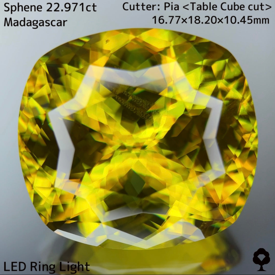 マダガスカルスフェーン22.971ct★美しさ・クラリティ・サイズどれをとっても博物館級のピアッちゃん初テーブルキューブ