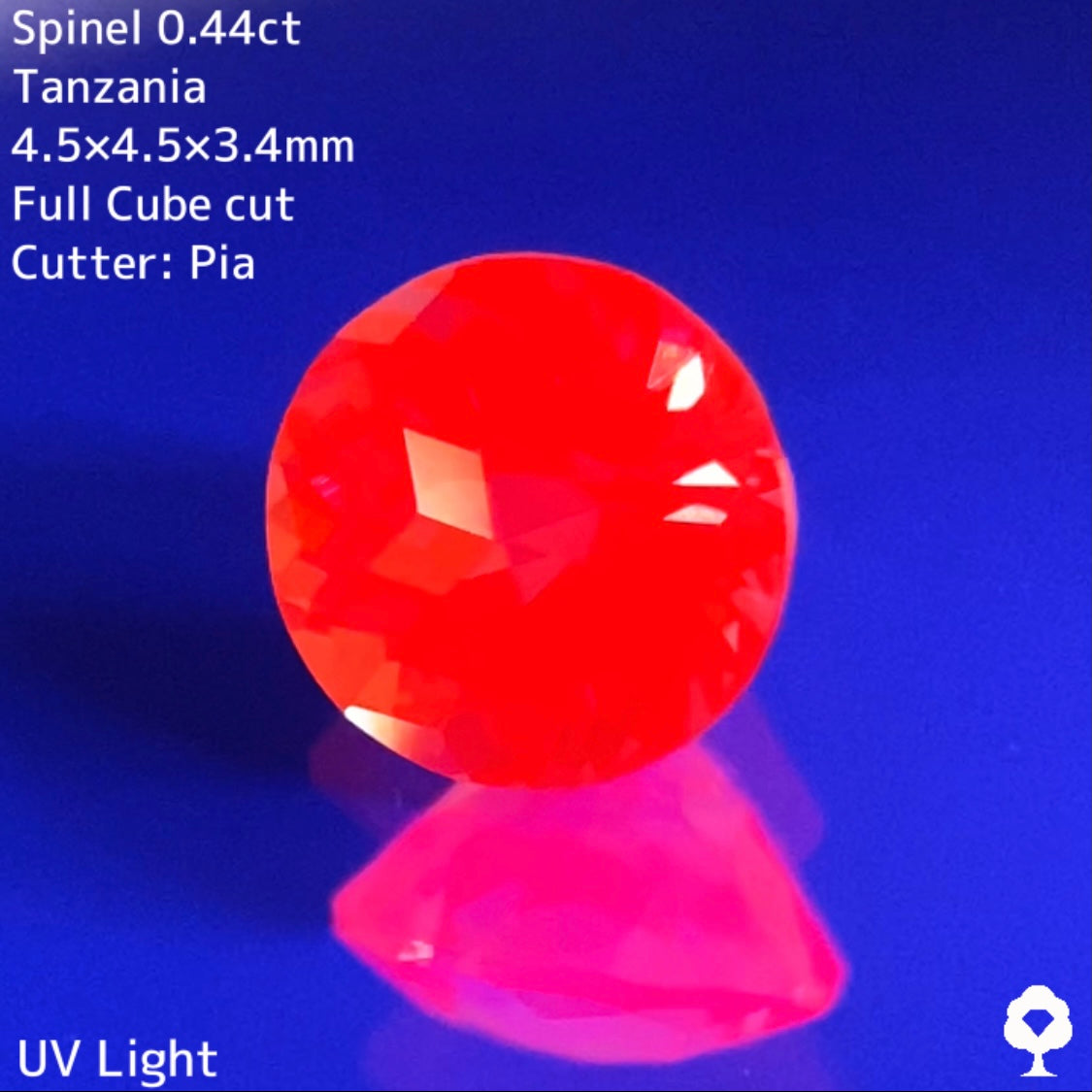 【6/17まで‼️ショート動画企画で人気投票1位20%OFF】発色抜群のシルキーなレディシュピンクに箱のカタチが浮かびあがる★スピネル 0.443ct タンザニア産【5ZBご利用可】