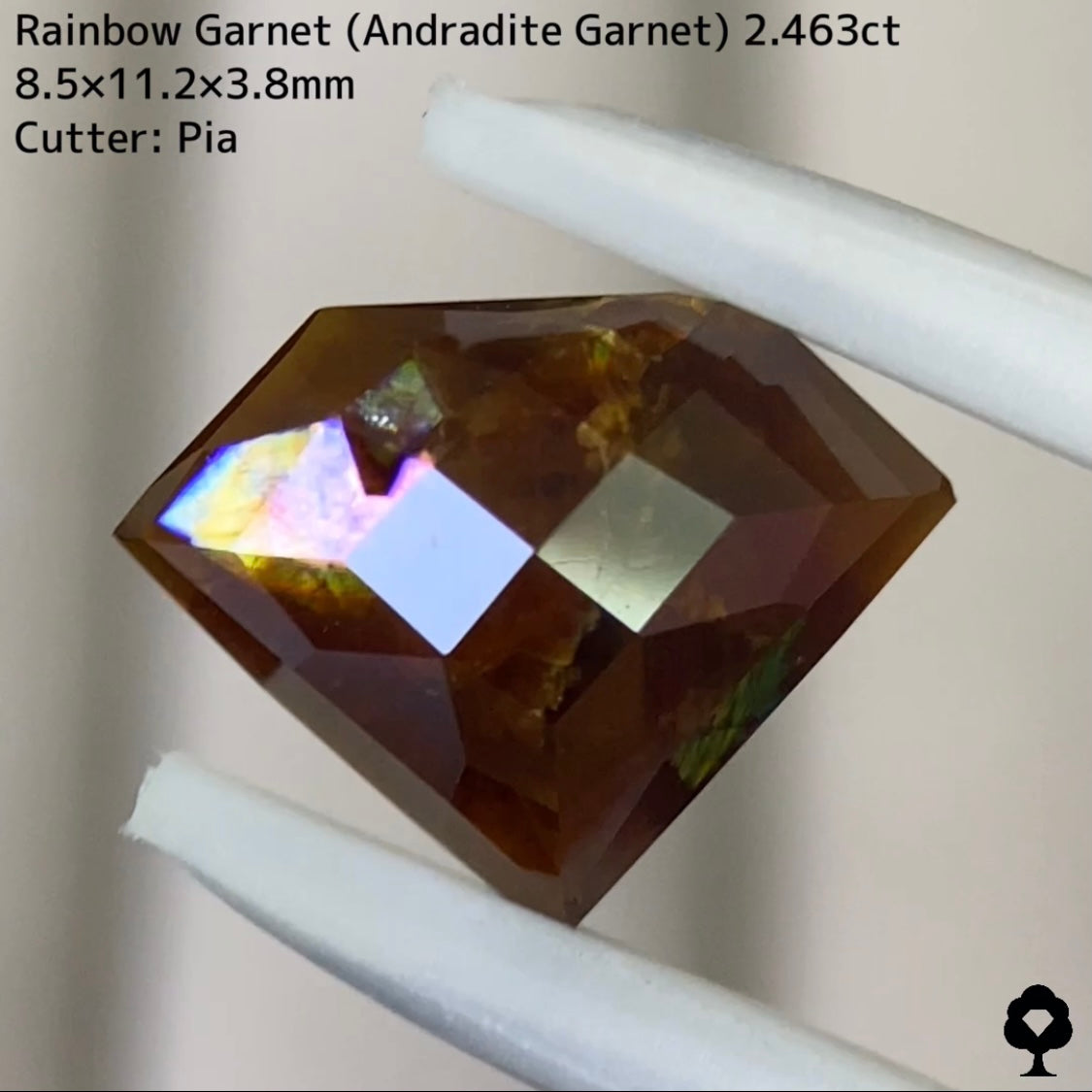 【お客さま専用】世界でGTJにしかない宝石形の奈良県天川村産レインボーガーネット(アンドラダイトガーネット)2.463ct★お問合せ特別価格★