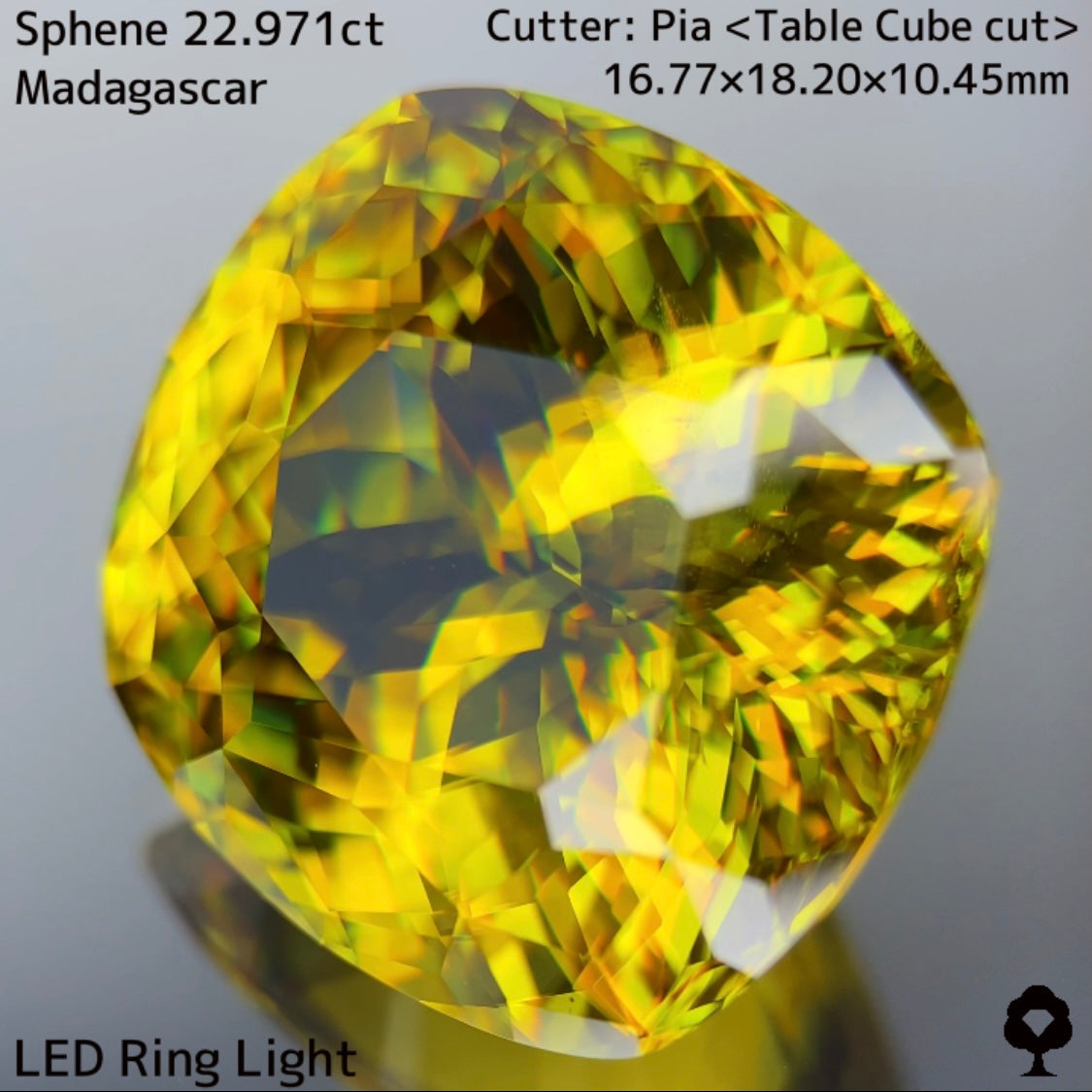 マダガスカルスフェーン22.971ct★美しさ・クラリティ・サイズどれをとっても博物館級のピアッちゃん初テーブルキューブ