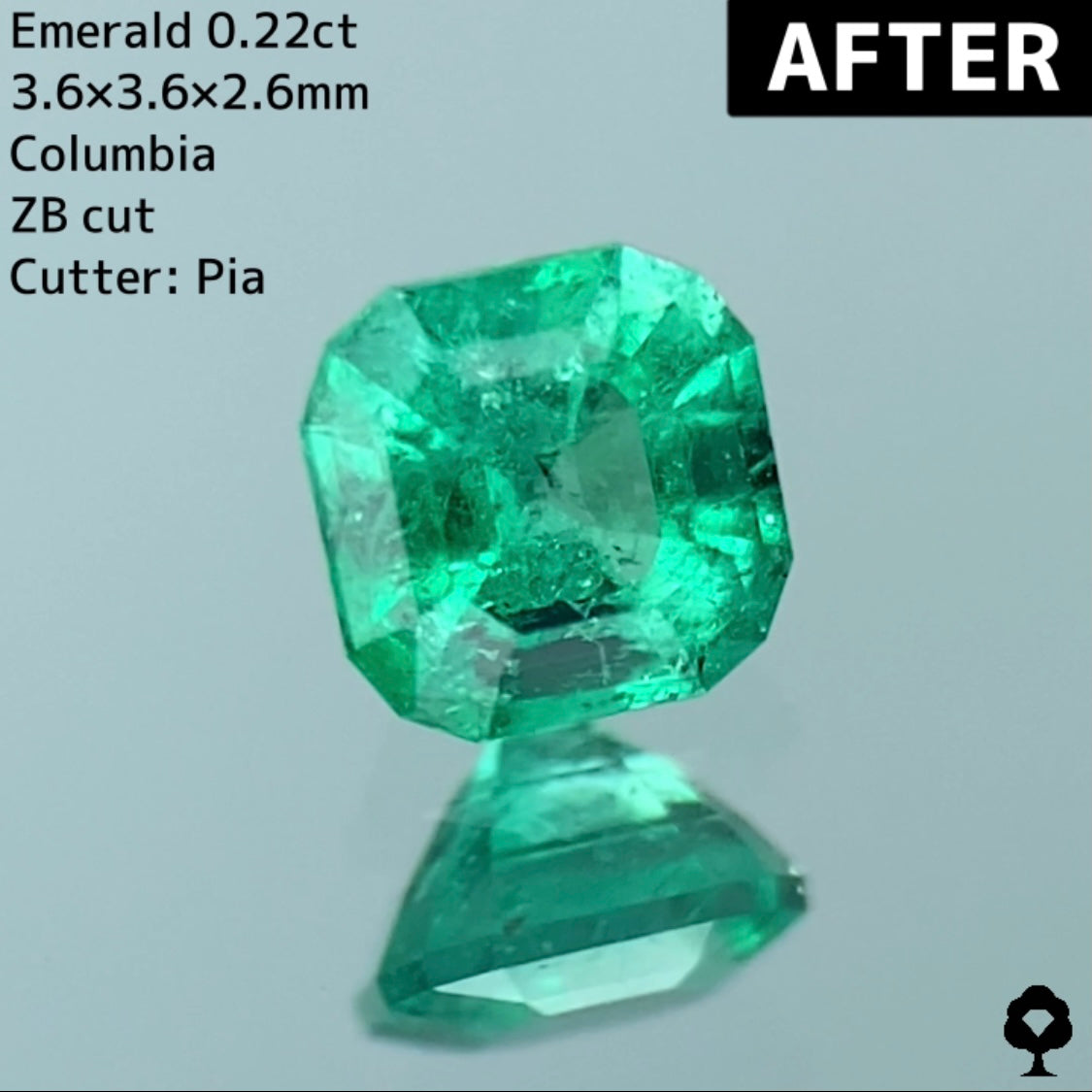 【プレゼントご当選者さま専用】エメラルド 0.22ct. 2023年5月プレキャン