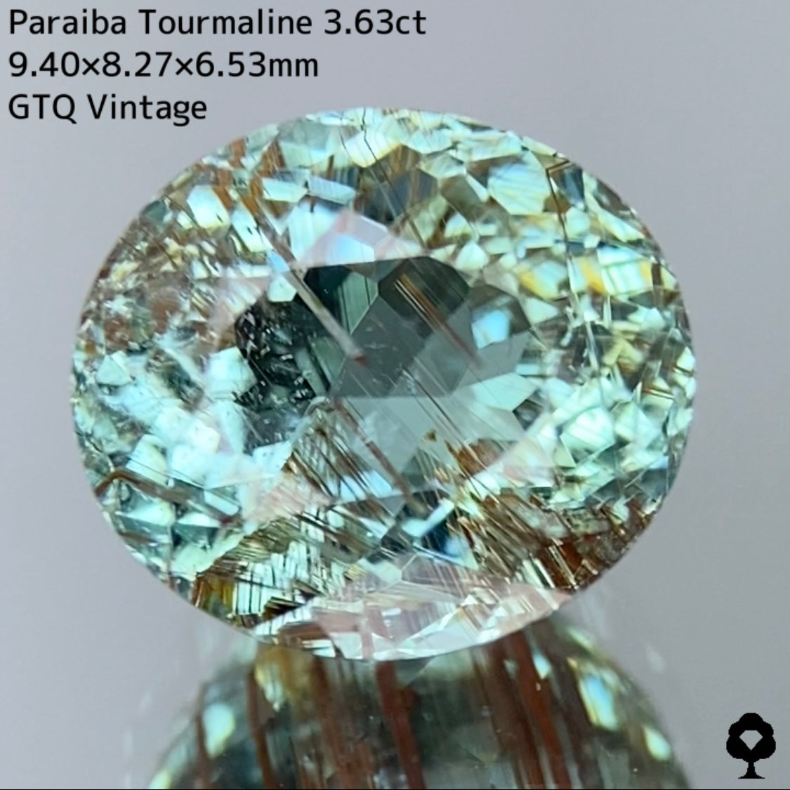 面白さの詰まった可愛さもある希少石★パライバトルマリン3.63ct