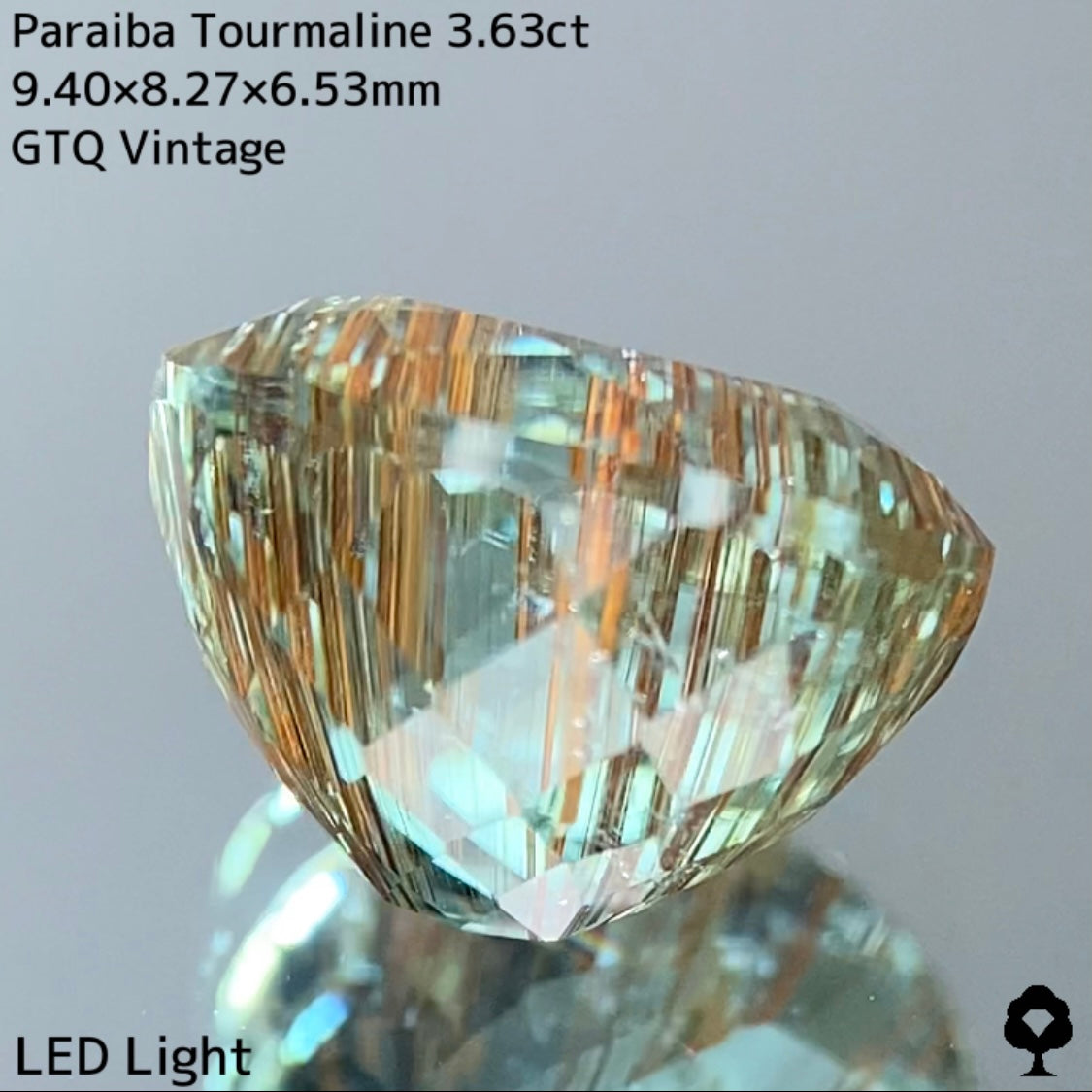 面白さの詰まった可愛さもある希少石★パライバトルマリン3.63ct