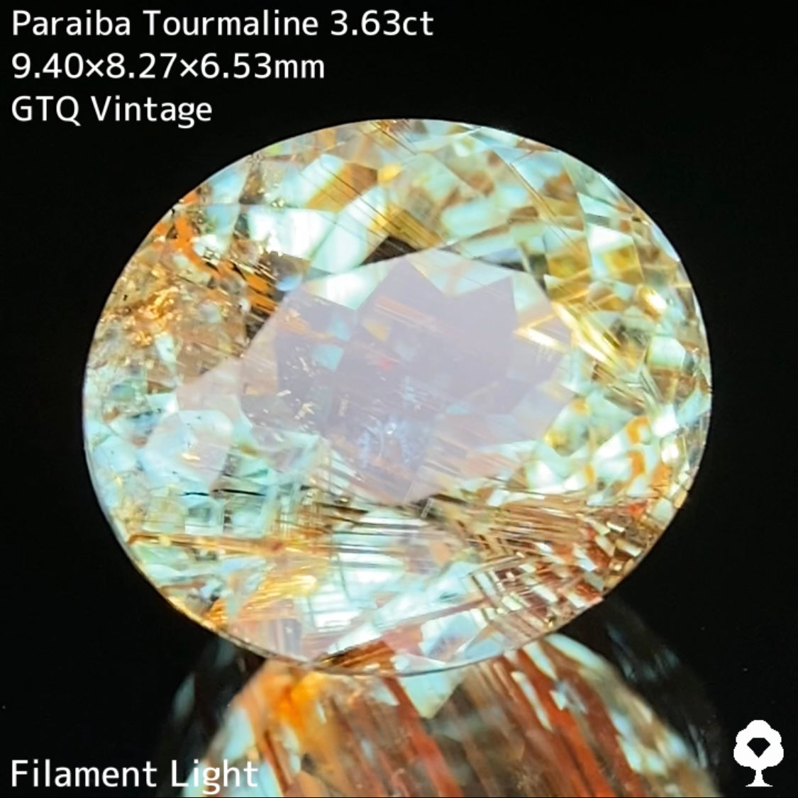 面白さの詰まった可愛さもある希少石★パライバトルマリン3.63ct