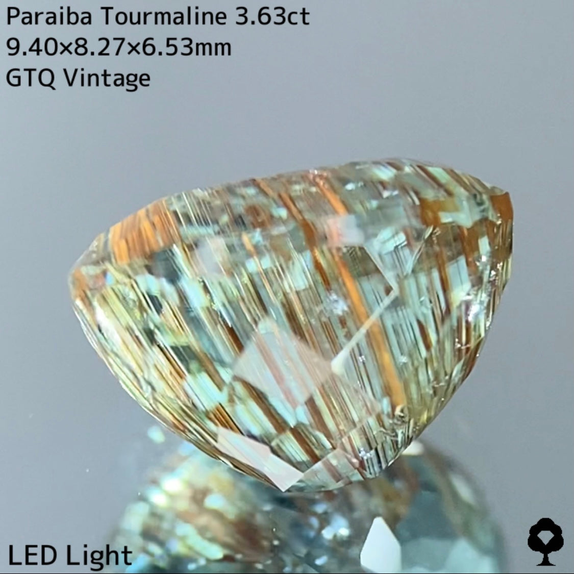 面白さの詰まった可愛さもある希少石★パライバトルマリン3.63ct