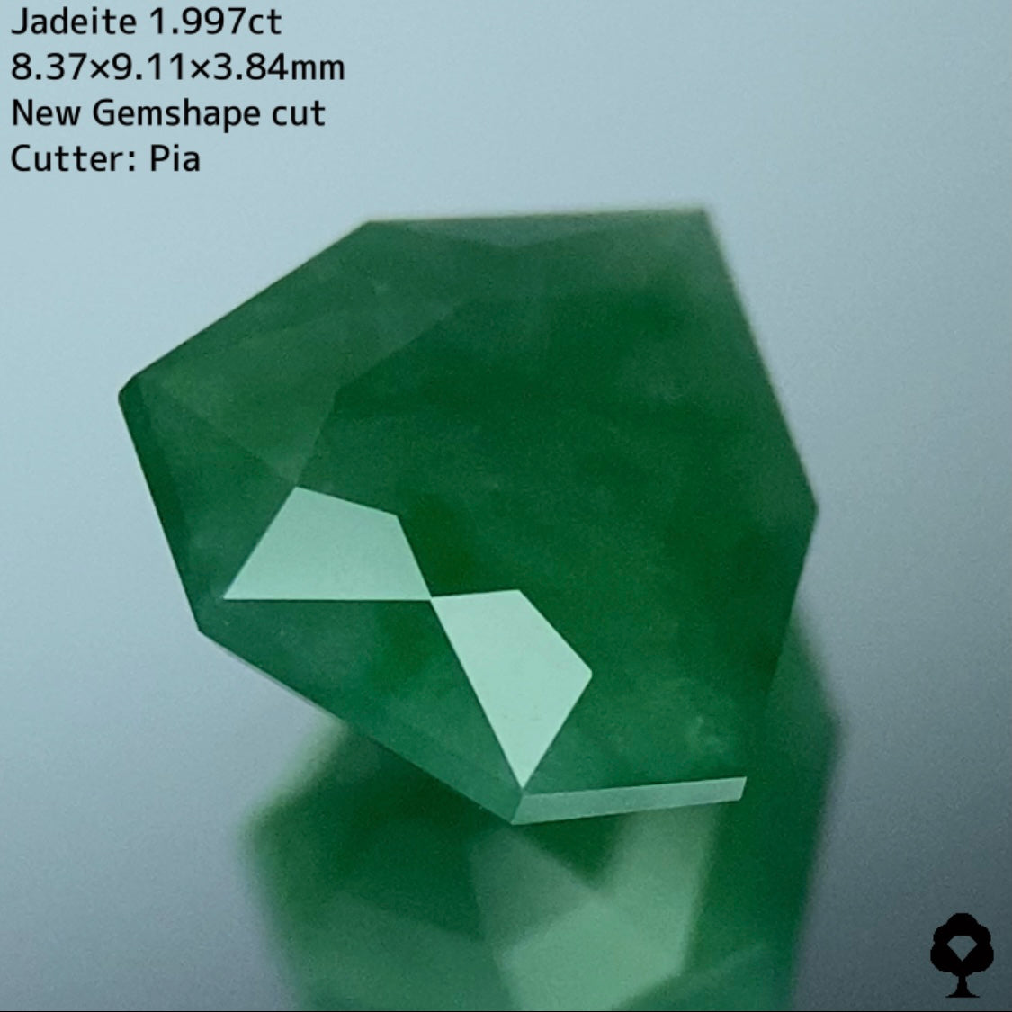 ほどよい濃さの緑で優しく面白さもある新宝石型カット★ヒスイ(翡翠)1.997ct
