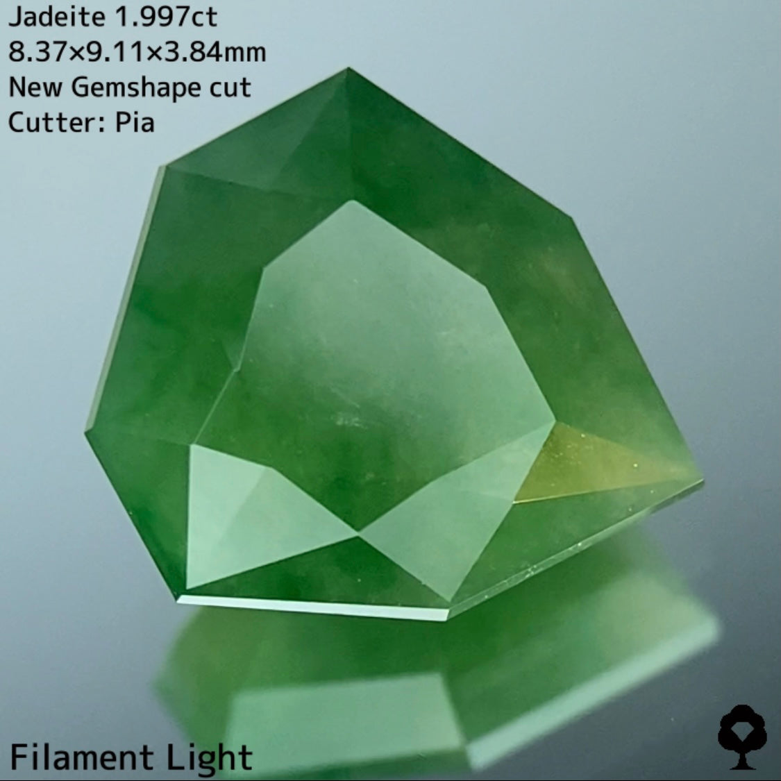 ほどよい濃さの緑で優しく面白さもある新宝石型カット★ヒスイ(翡翠)1.997ct