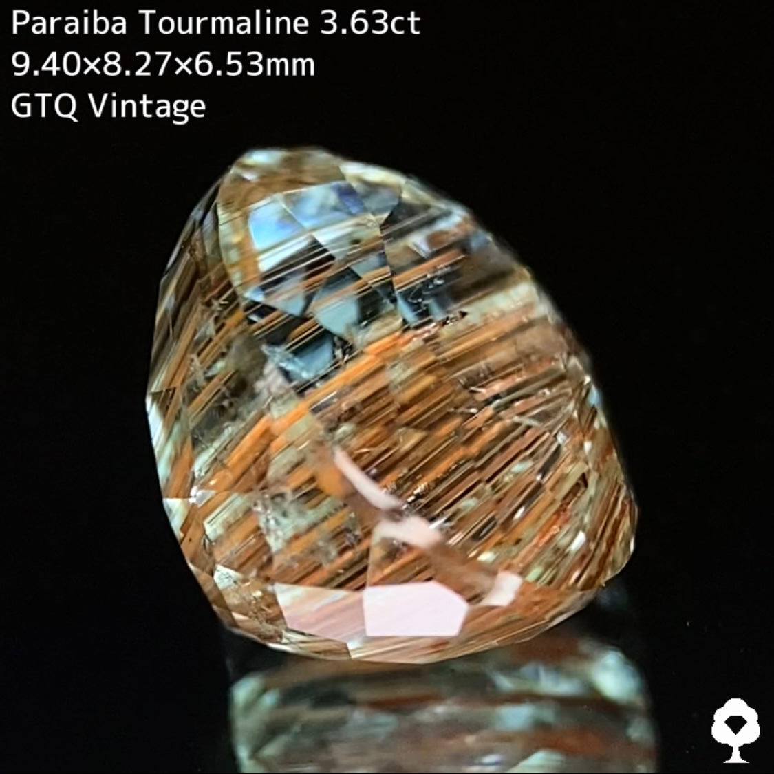 面白さの詰まった可愛さもある希少石★パライバトルマリン3.63ct