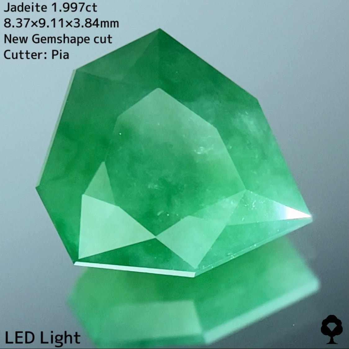 ほどよい濃さの緑で優しく面白さもある新宝石型カット★ヒスイ(翡翠)1.997ct