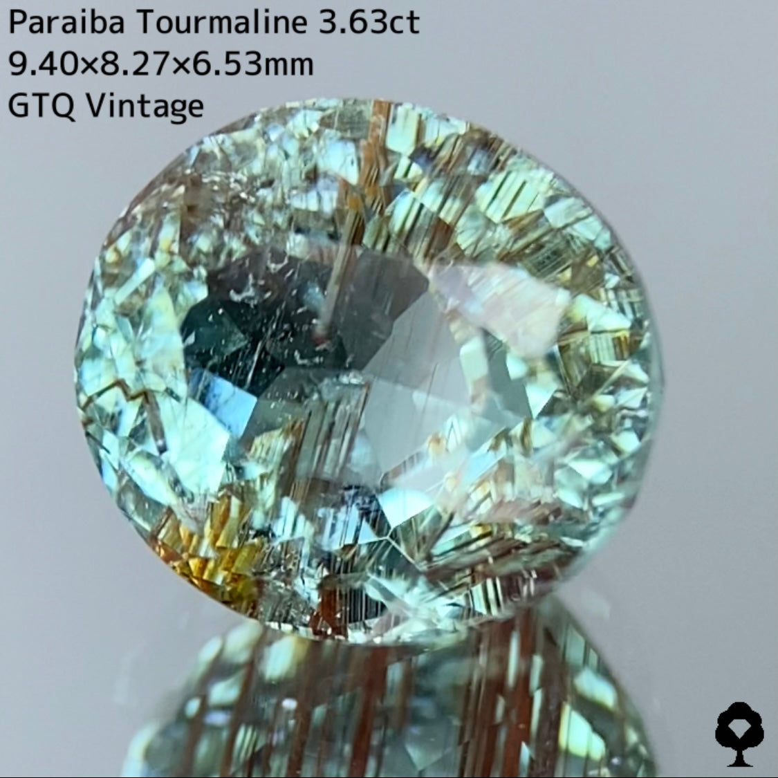 面白さの詰まった可愛さもある希少石★パライバトルマリン3.63ct