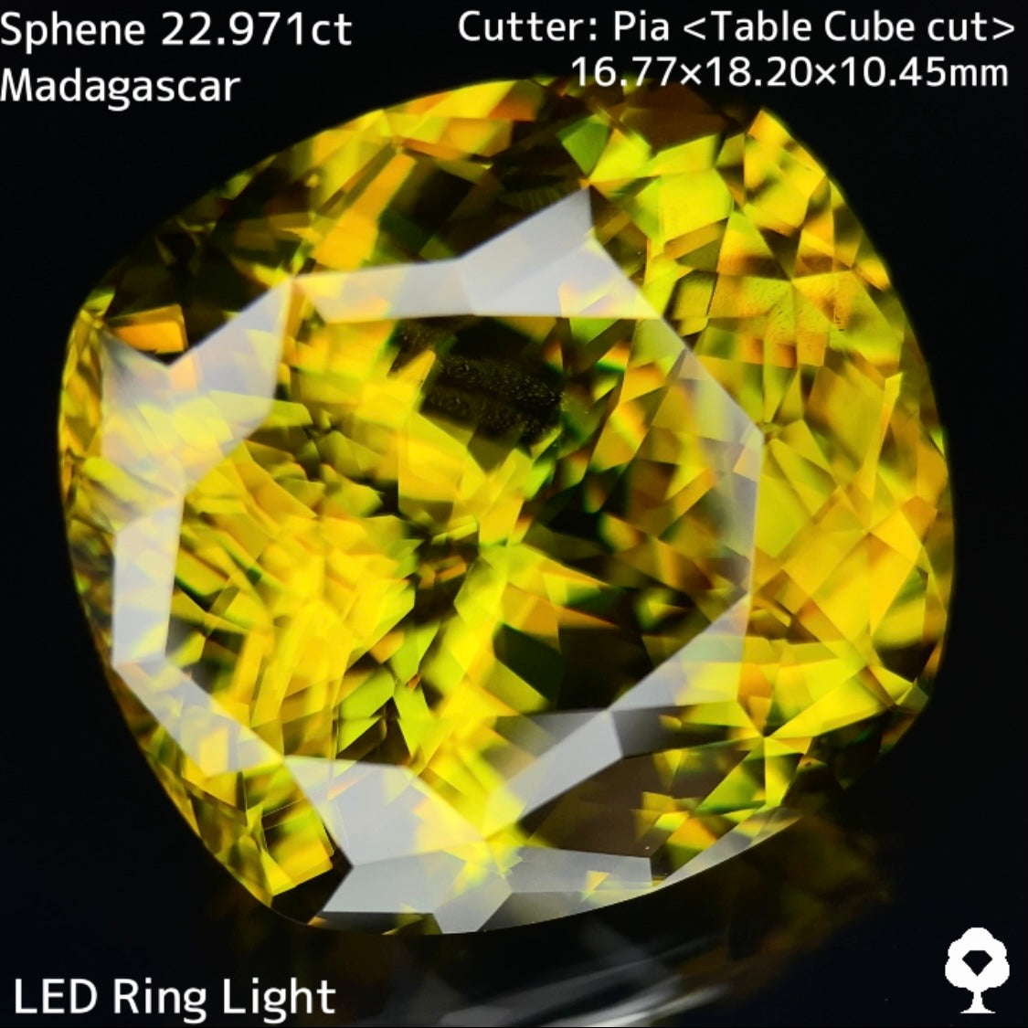 マダガスカルスフェーン22.971ct★美しさ・クラリティ・サイズどれをとっても博物館級のピアッちゃん初テーブルキューブ