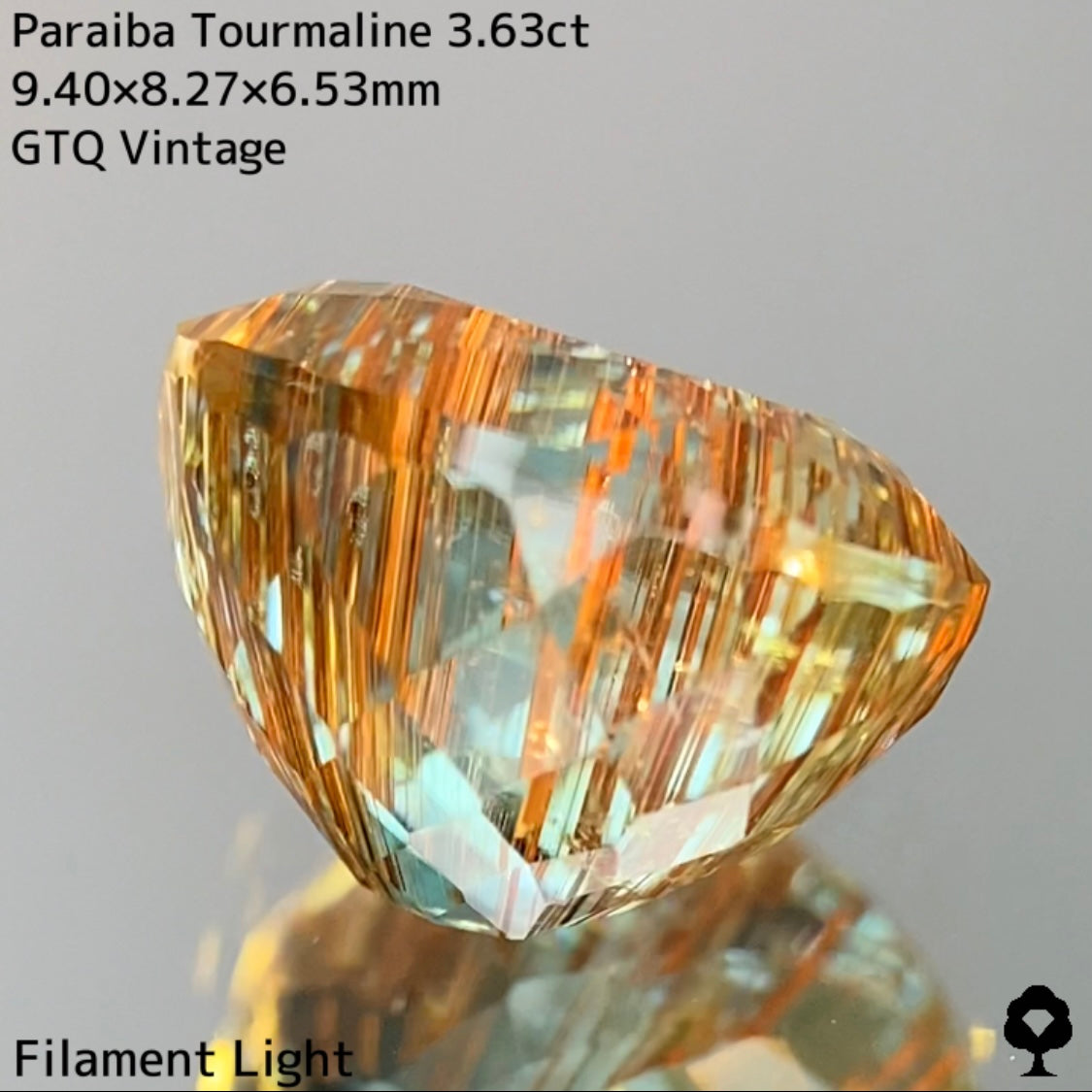 面白さの詰まった可愛さもある希少石★パライバトルマリン3.63ct