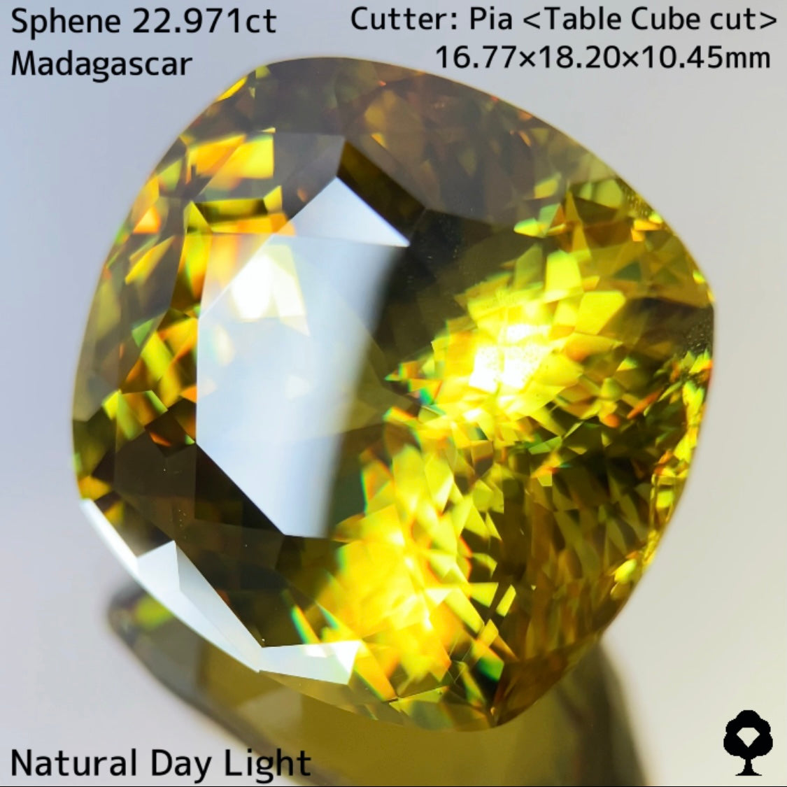 マダガスカルスフェーン22.971ct★美しさ・クラリティ・サイズどれをとっても博物館級のピアッちゃん初テーブルキューブ