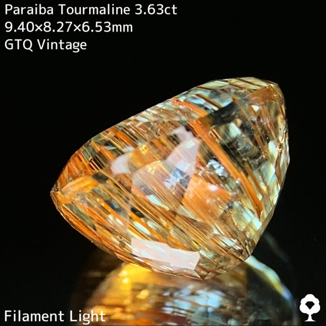 面白さの詰まった可愛さもある希少石★パライバトルマリン3.63ct