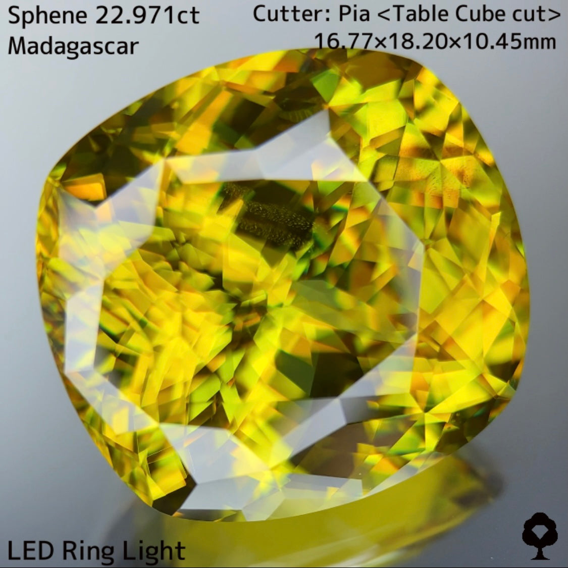 マダガスカルスフェーン22.971ct★美しさ・クラリティ・サイズどれをとっても博物館級のピアッちゃん初テーブルキューブ