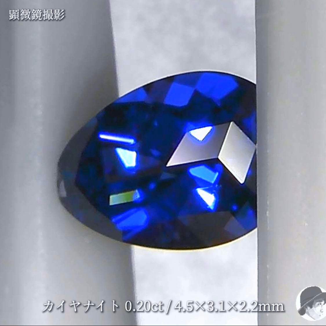 【11ZBご利用価格 専用ページ】【キューブスター】米粒と比較してみました❗️丸みを加えた“変形ペアシェイプ”カイヤナイト 0.20ct✨ゲオちゃん作品