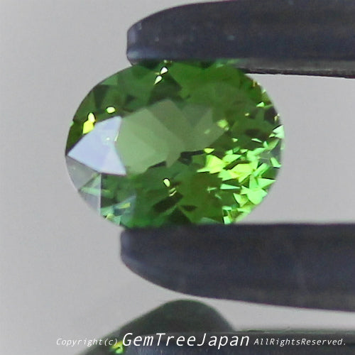 一つ一つが微妙に違う魅惑の美色トルマリン 0.264ct(3/9)💎ピアっちゃん作品✨