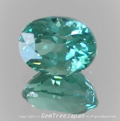 一つ一つが微妙に違う魅惑の美色トルマリン 0.267ct(2/9)💎ピアっちゃん作品✨