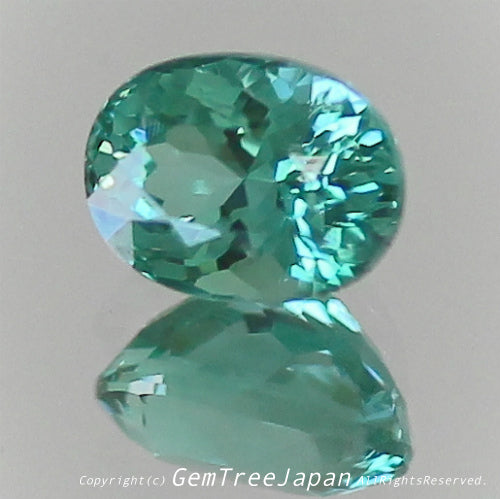 一つ一つが微妙に違う魅惑の美色トルマリン 0.267ct(2/9)💎ピアっちゃん作品✨