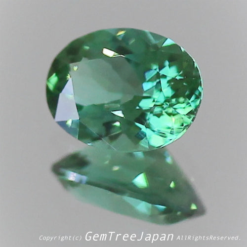 一つ一つが微妙に違う魅惑の美色トルマリン 0.280ct(8/9)💎ピアっちゃん作品✨