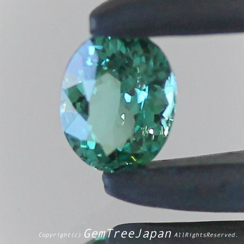 一つ一つが微妙に違う魅惑の美色トルマリン 0.288ct(7/9)💎ピアっちゃん作品✨