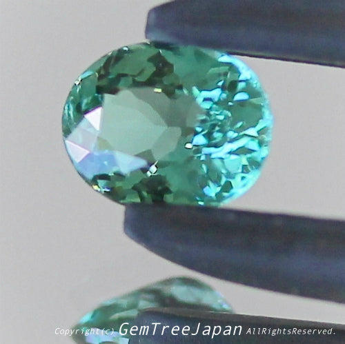 一つ一つが微妙に違う魅惑の美色トルマリン 0.288ct(7/9)💎ピアっちゃん作品✨