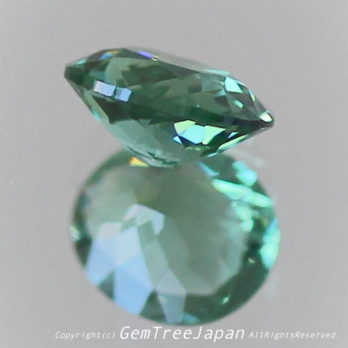 👽息をのむ美色に時を忘れるトルマリン0.288ct 💎ピアっちゃん作品✨