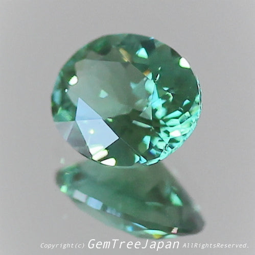 👽息をのむ美色に時を忘れるトルマリン0.288ct 💎ピアっちゃん作品✨