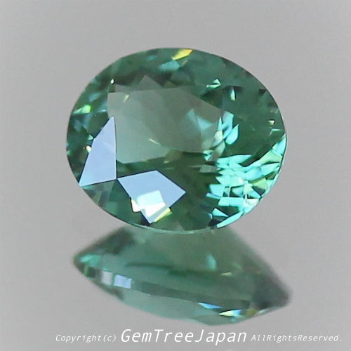 👽息をのむ美色に時を忘れるトルマリン0.288ct 💎ピアっちゃん作品✨