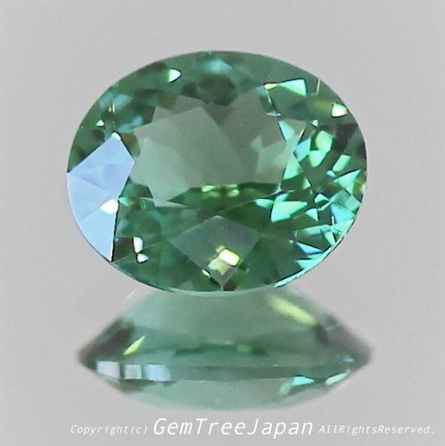 👽息をのむ美色に時を忘れるトルマリン0.288ct 💎ピアっちゃん作品✨