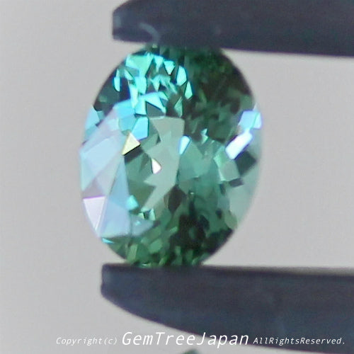 一つ一つが微妙に違う魅惑の美色トルマリン 0.320ct(4/9)💎ピアっちゃん作品✨