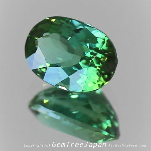 一つ一つが微妙に違う魅惑の美色トルマリン 0.375ct(6/9)💎ピアっちゃん作品✨