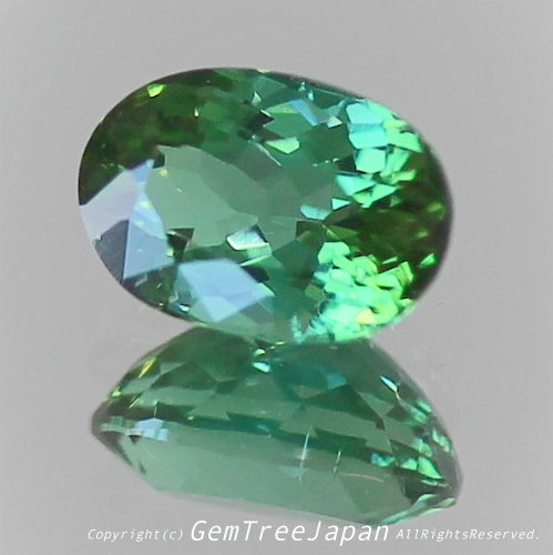 一つ一つが微妙に違う魅惑の美色トルマリン 0.375ct(6/9)💎ピアっちゃん作品✨