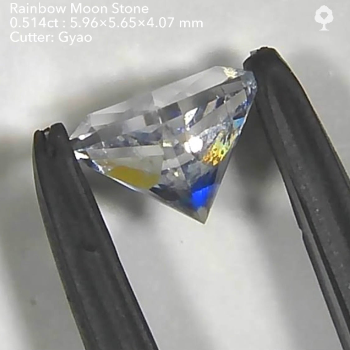 大人気の《宝石形》こちらは傑作カット💎レインボームーンストーン0.514ct✨ゲオちゃん作品