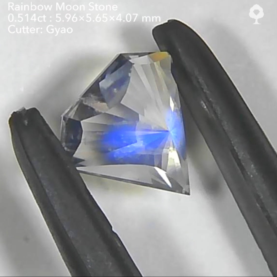 大人気の《宝石形》こちらは傑作カット💎レインボームーンストーン0.514ct✨ゲオちゃん作品