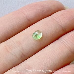 リューコガーネットの中に走る2本のグリーンライン✌️バイカラーグリーンガーネット0.60ct✨11/16Live配信商品⚡️吉村作品💎