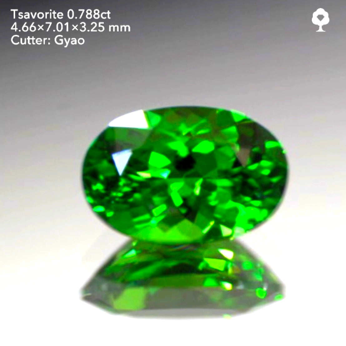 余計な説明不要シリーズ“これぞツァボライト”0.788ct✨ゲオちゃん作品💎
